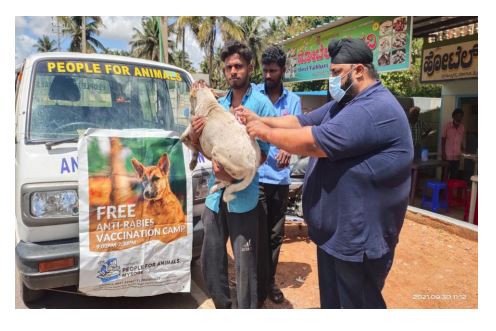World Rabies Day: PFA Conducts Free Vaccination Camp